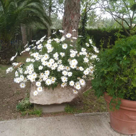 Holiday home Vivienda Turistica Rural Mari Carmen *