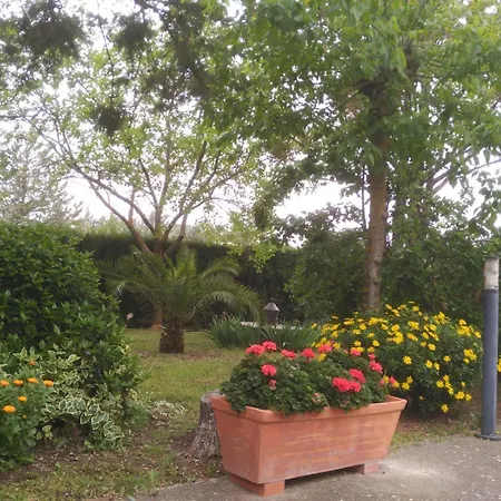 Vivienda Turistica Rural Mari Carmen Baeza